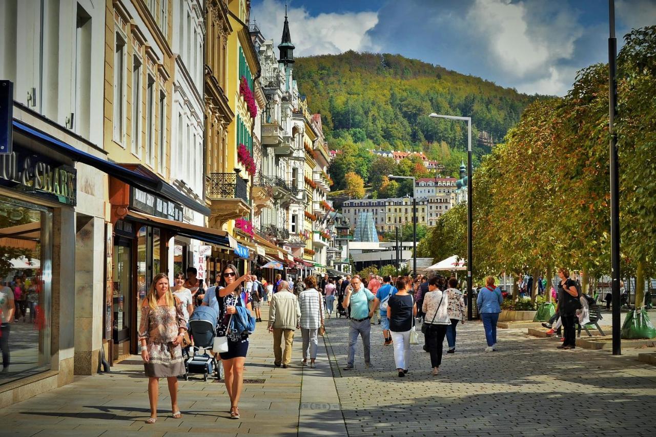 Vila Daniela Karlovy Vary Bagian luar foto