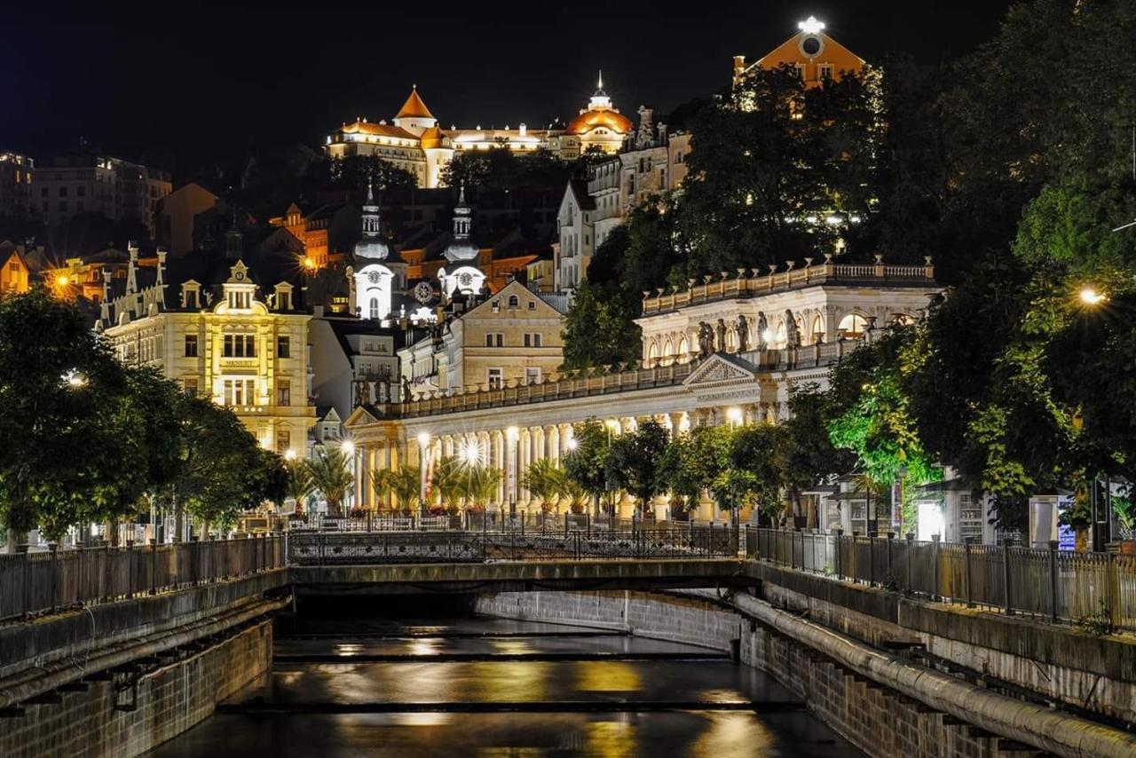 Vila Daniela Karlovy Vary Bagian luar foto